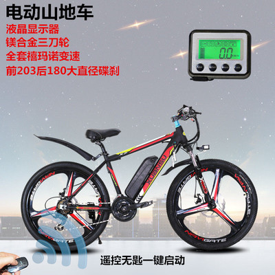 電動自行車市場 銷售現(xiàn)狀與未來趨勢